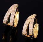 Golden Radiance Double Hoop Earrings